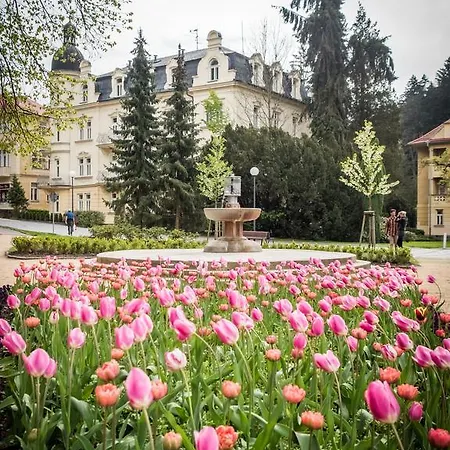 アパート Kolonada *