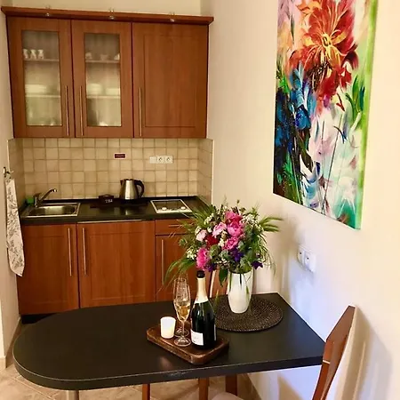 アパート Kolonada Luhačovice